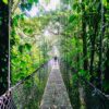 person walking on hanging bridge surrounded by green trees during daytime